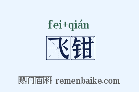 飞钳是什么意思的图片